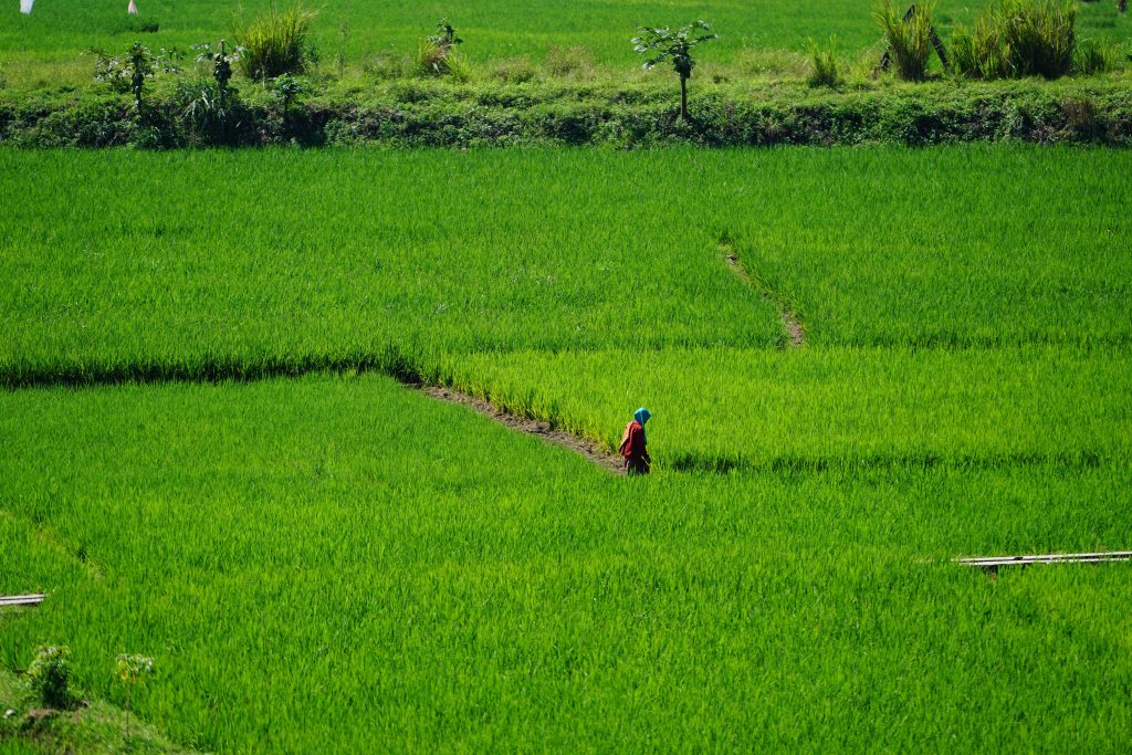 marketing agritech