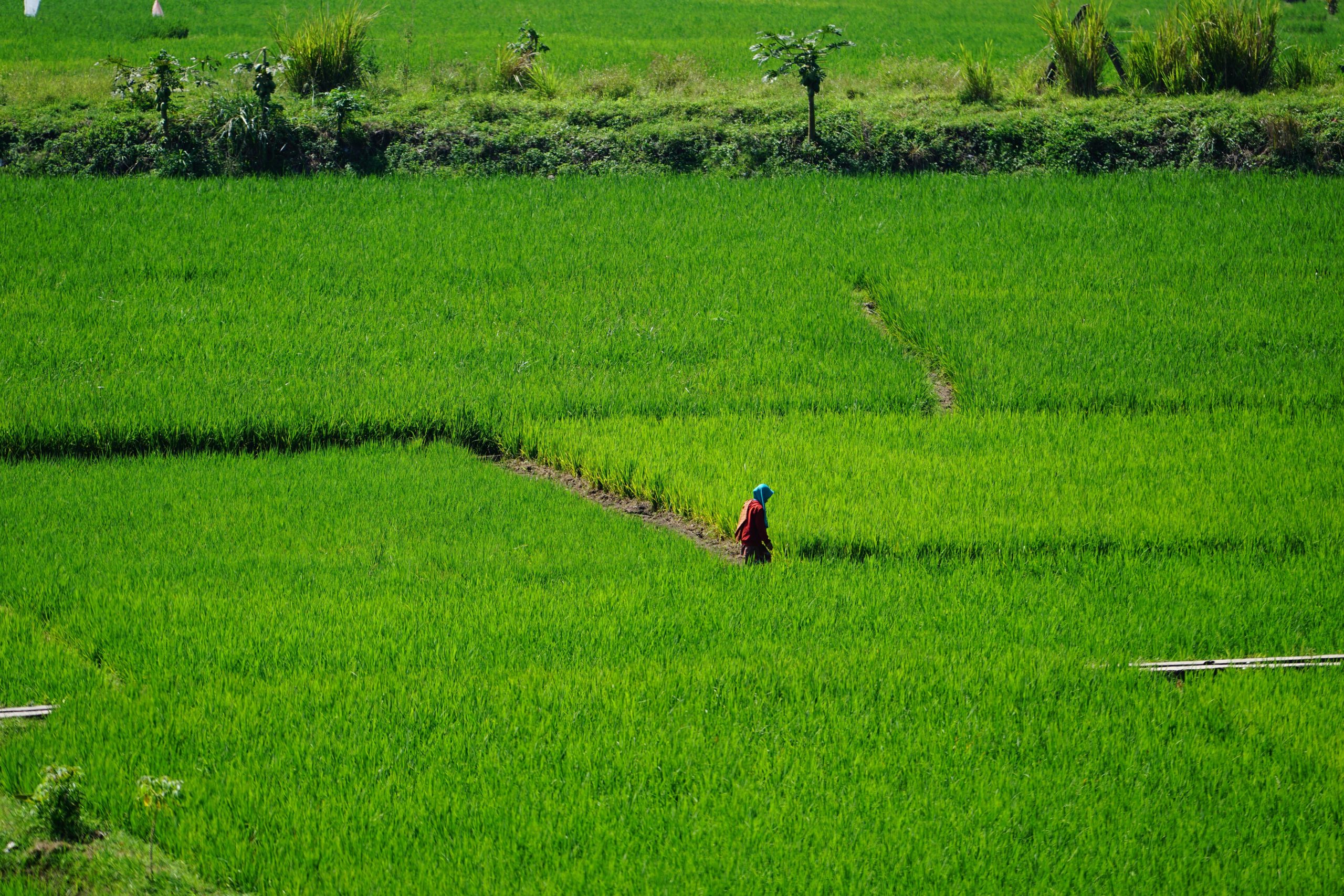 marketing agritech